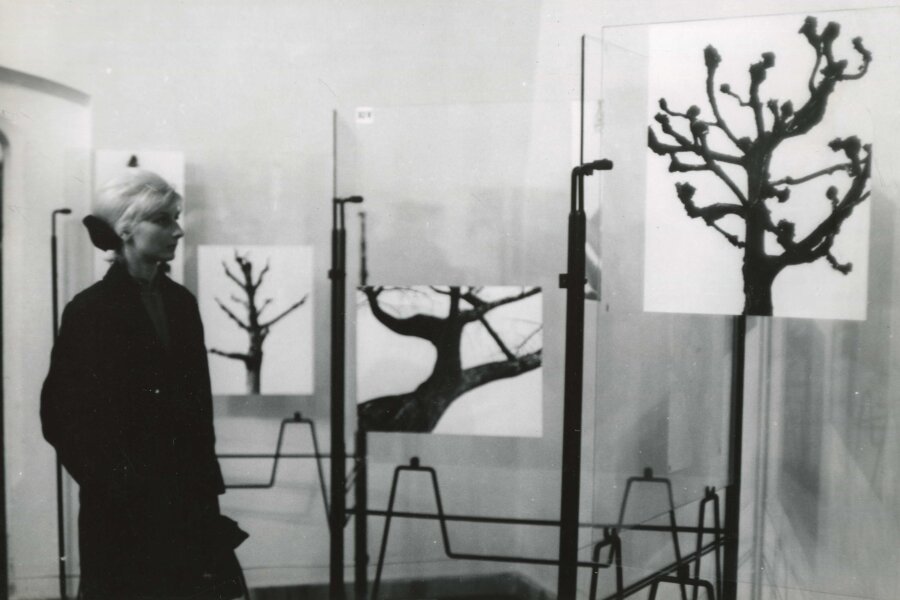 Snímky Karel Kulatý